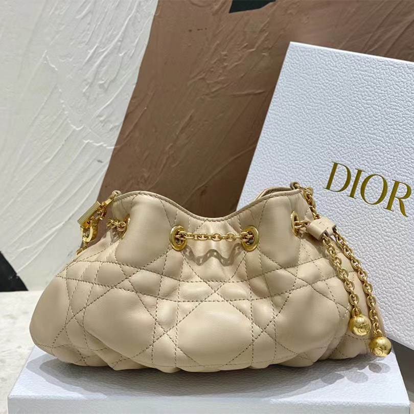 디올 스몰 암미백 SMALL DIOR AMMI BAG M22556FBE